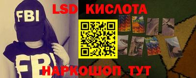 шишки Изобильный