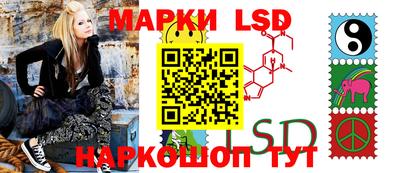 шишки Изобильный