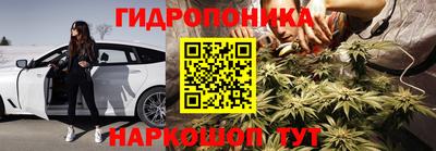 шишки Изобильный
