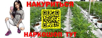 прущие крисы Ипатово