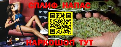 шишки Изобильный