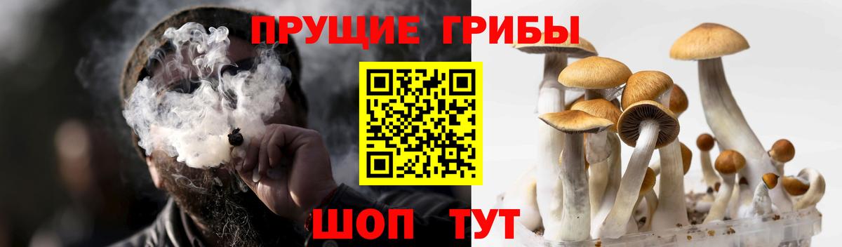 Кумертау  Галлюциногенные грибы прущие грибы  Вход с VPN  Галлюциногенные грибы Magic Shrooms 